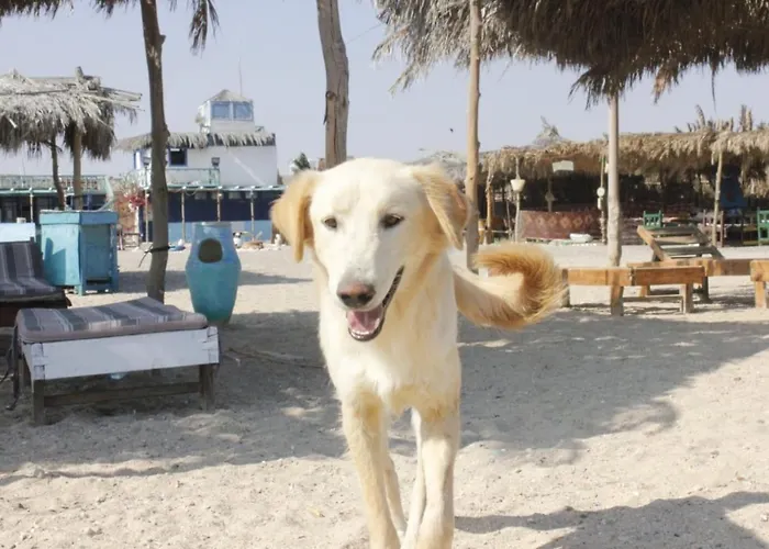 Deep South Eco-lodge * Marsa Alam